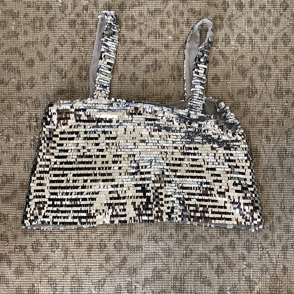 Zara Sequin Top
